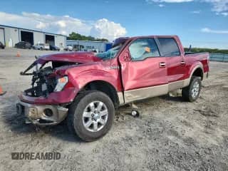 2013 Ford F-150 XLT with VIN 1FTFW1EF3DKE96319, listed as a Copart auction lot 71406055 with Not provided miles and Salvage title. Bid and sale history available at DreamBid. Image 1.