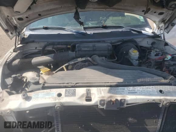 2001 Dodge 1500 with VIN 3B7HC13Y91G805865, listed as a Copart auction lot 67014045 with 174,805 mi miles and Salvage title. Bid and sale history available at DreamBid. Image 11.