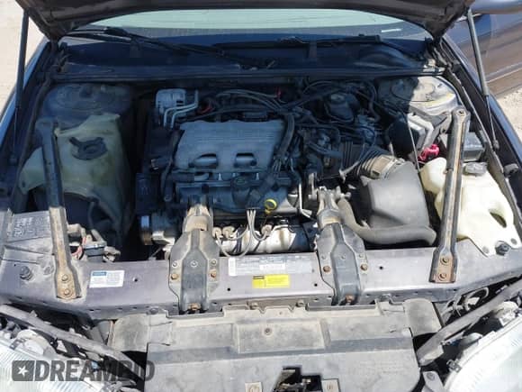 1995 Chevrolet Lumina с VIN 2G1WN52M3S1151620, выставлен на аукционе IAAI как лот 42714621 с пробегом 110 003 миль миль и . История ставок и продаж доступна на DreamBid. Изображение 10.
