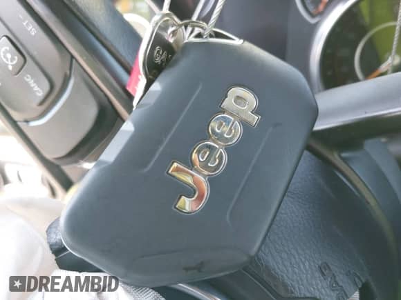 2022 Jeep Wrangler Willys z VIN 1C4GJXAN3NW248987, wystawiony jako IAAI lot #42982392 z przebiegiem 49 624 mil mil oraz . Historia ofert i sprzedaży dostępna na DreamBid. Obrazek 11.