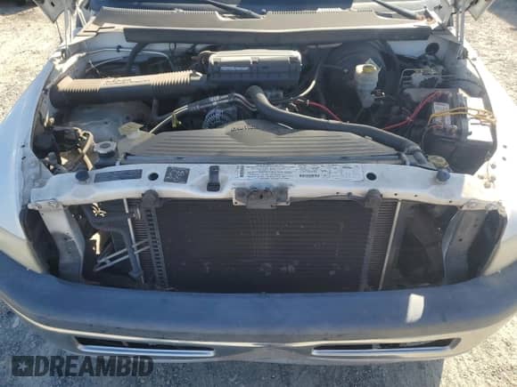 2001 Dodge 1500 with VIN 1B7HC16Y91S739421, listed as a Copart auction lot 85903425 with 119,068 mi miles and Clean title. Bid and sale history available at DreamBid. Image 11.