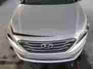 2017 Hyundai Sonata Sport with VIN 5NPE34AF4HH438834, listed as a Copart auction lot 81177985 with Not provided miles and Salvage title. Bid and sale history available at DreamBid. Image 11.