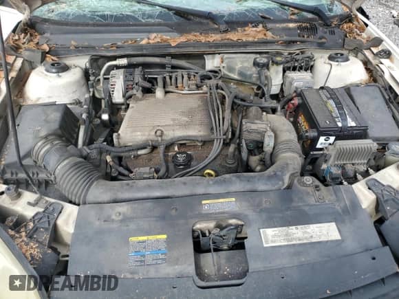 2004 Chevrolet Malibu Maxx LS с VIN 1G1ZT62864F202020, выставлен на аукционе Copart как лот 64746035 с пробегом Не указан миль и На запчасти • Non repairable. История ставок и продаж доступна на DreamBid. Изображение 11.