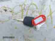 2004 Ford F-150 XL z VIN 2FTRX172X4CA57286, wystawiony jako IAAI lot #42076008 z przebiegiem 193 334 mil mil oraz . Historia ofert i sprzedaży dostępna na DreamBid. Obrazek 11.