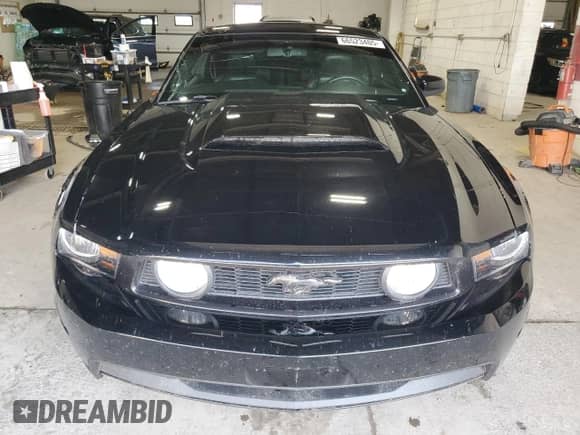 2011 Ford Mustang GT z VIN 1ZVBP8CF2B5104382, wystawiony jako Copart lot #66523405 z przebiegiem 43 555 mil mil oraz Szkoda całkowita • Salvage title. Historia ofert i sprzedaży dostępna na DreamBid. Obrazek 5.