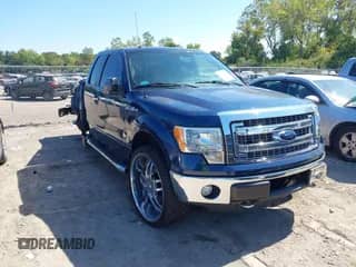 2013 Ford F-150 XL with VIN 1FTFX1ET1DFD53994, listed as a IAAI auction lot 43204730 with 127,286 mi miles and . Bid and sale history available at DreamBid. Image 1.