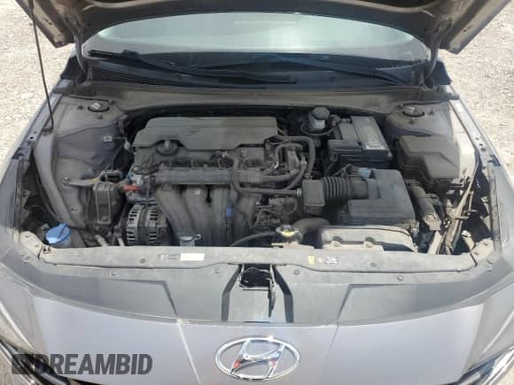 2021 Hyundai Elantra Limited with VIN KMHLP4AG2MU125801, listed as a Copart auction lot 56731705 with 64,959 mi miles and Clean title. Bid and sale history available at DreamBid. Image 11.