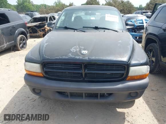 2003 Dodge Dakota with VIN 1D7HL12X73S381323, listed as a IAAI auction lot 42161329 with 219,083 mi miles and . Bid and sale history available at DreamBid. Image 11.