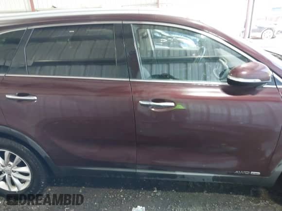 2018 Kia Sorento LX with VIN 5XYPGDA57JG338860, listed as a IAAI auction lot 43352296 with 239,757 mi miles and . Bid and sale history available at DreamBid. Image 13.