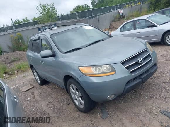 2009 Hyundai Santa Fe SE с VIN 5NMSH73EX9H288012, выставлен на аукционе IAAI как лот 43053375 с пробегом 111 387 миль миль и . История ставок и продаж доступна на DreamBid. Изображение 1.