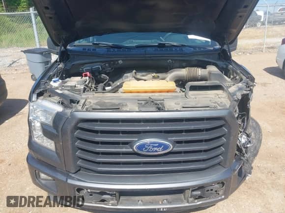 2017 Ford F-150 XL z VIN 1FTEW1CP0HFB62268, wystawiony jako IAAI lot #42651359 z przebiegiem 161 596 mil mil oraz . Historia ofert i sprzedaży dostępna na DreamBid. Obrazek 10.