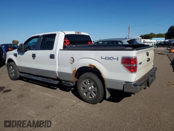 2010 Ford F-150 XL with VIN 1FTFW1EV7AFB74214, listed as a Copart auction lot 86306405 with 217,956 mi miles and Clean title. Bid and sale history available at DreamBid. Image 2.