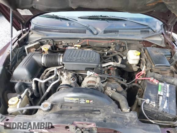 2005 Dodge Dakota SLT with VIN 1D7HW42N95S133844, listed as a IAAI auction lot 42896659 with 121,256 mi miles and . Bid and sale history available at DreamBid. Image 10.