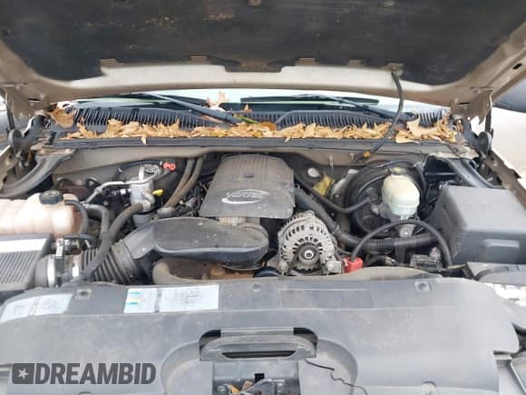 2005 Chevrolet Silverado 1500 LT with VIN 2GCEK13T951250845, listed as a IAAI auction lot 41093130 with 131,092 mi miles and . Bid and sale history available at DreamBid. Image 10.