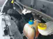 2019 Ram ProMaster Cargo z VIN 3C6TRVCG7KE502322, wystawiony jako IAAI lot #41863824 z przebiegiem 355 881 mil mil oraz . Historia ofert i sprzedaży dostępna na DreamBid. Obrazek 18.