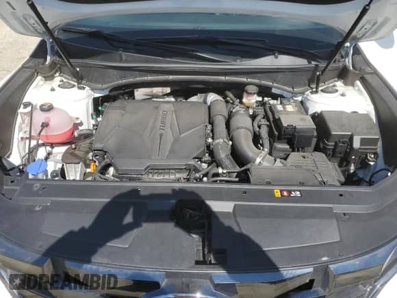 2024 Hyundai Santa Cruz XRT с VIN 5NTJDDAF4RH086711, выставлен на аукционе Copart как лот 53146385 с пробегом 25 343 миль миль и Списание • Salvage title. История ставок и продаж доступна на DreamBid. Изображение 11.