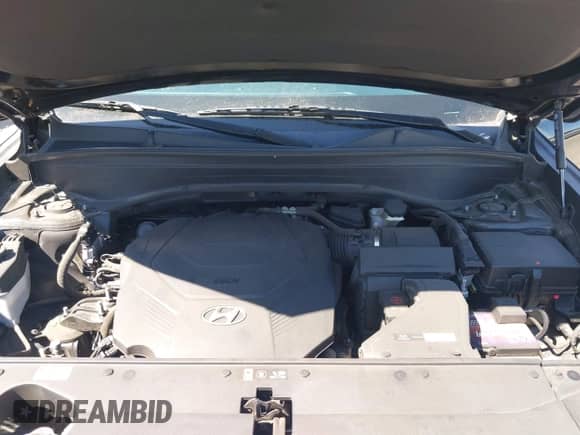 2020 Hyundai Palisade SE с VIN KM8R14HE2LU105580, выставлен на аукционе IAAI как лот 43256188 с пробегом 100 236 миль миль и . История ставок и продаж доступна на DreamBid. Изображение 10.