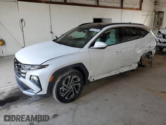 2025 Hyundai Tucson Limited with VIN 5NMJECDE6SH543868, listed as a Copart auction lot 61794765 with 1,328 mi miles and Salvage title. Bid and sale history available at DreamBid. Image 1.