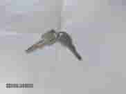 1990 Chevrolet Silverado 2500 с VIN 1GCFC24K2LE248413, выставлен на аукционе IAAI как лот 42283250 с пробегом 184 215 миль миль и . История ставок и продаж доступна на DreamBid. Изображение 11.