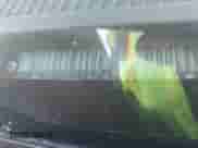 1993 GMC Sierra 1500 with VIN 1GTDC14Z4PE508587, listed as a IAAI auction lot 43562709 with 291,969 mi miles and . Bid and sale history available at DreamBid. Image 9.