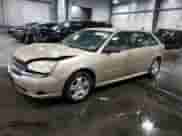 2004 Chevrolet Malibu Maxx LT с VIN 1G1ZU64894F194666, выставлен на аукционе Copart как лот 76581174 с пробегом 149 444 миль миль и Списание • Salvage title. История ставок и продаж доступна на DreamBid. Изображение 1.