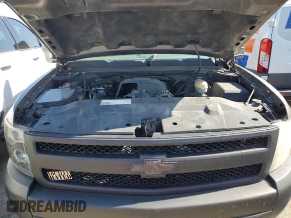 2007 Chevrolet Silverado 1500 Work Truck с VIN 1GCEK19C87E506319, выставлен на аукционе Copart как лот 48012335 с пробегом 206 815 миль миль и Списание • Salvage title. История ставок и продаж доступна на DreamBid. Изображение 13.