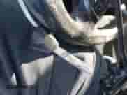 2013 Subaru WRX WRX with VIN JF1GV7E60DG033721, listed as a IAAI auction lot 41315608 with 117,694 mi miles and . Bid and sale history available at DreamBid. Image 11.