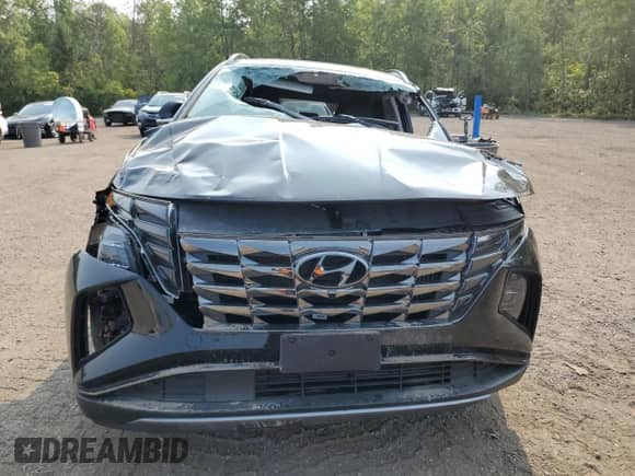 2024 Hyundai Tucson with VIN KM8JDDD26RU146125, listed as a Copart auction lot 67396975 with Not provided miles and Clean title. Bid and sale history available at DreamBid. Image 5.