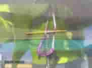 1990 Honda Accord LX с VIN JHMCB7659LC103387, выставлен на аукционе IAAI как лот 43382143 с пробегом 186 187 миль миль и . История ставок и продаж доступна на DreamBid. Изображение 9.