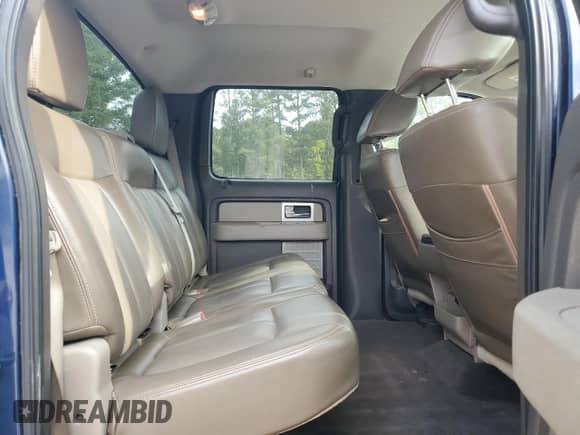 2010 Ford F-150 XL with VIN 1FTFW1CV1AFA11397, listed as a Copart auction lot 85837495 with 238,169 mi miles and Salvage title. Bid and sale history available at DreamBid. Image 10.