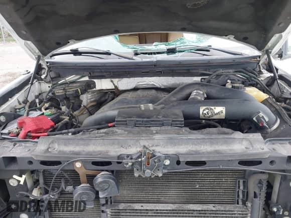 2011 Ford F-150 XLT z VIN 1FTFW1ET0BFB89265, wystawiony jako IAAI lot #42603589 z przebiegiem 195 470 mil mil oraz . Historia ofert i sprzedaży dostępna na DreamBid. Obrazek 10.