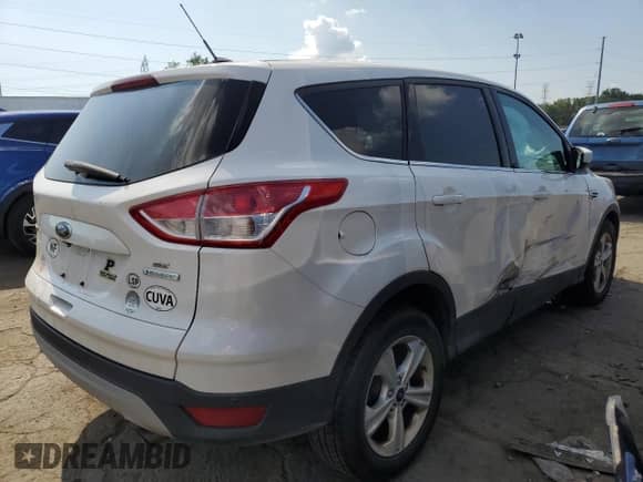 2014 Ford Escape SE с VIN 1FMCU0GX1EUB78726, выставлен на аукционе Copart как лот 81021325 с пробегом 161 108 миль миль и Списание • Salvage title. История ставок и продаж доступна на DreamBid. Изображение 3.