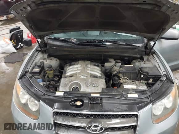 2007 Hyundai Santa Fe SE with VIN 5NMSH13EX7H071764, listed as a IAAI auction lot 43339898 with 294,826 mi miles and . Bid and sale history available at DreamBid. Image 10.