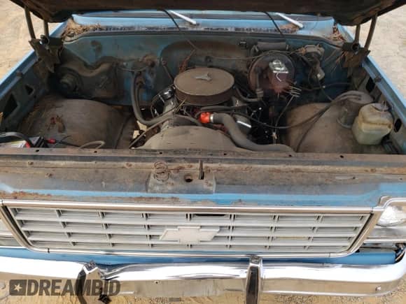 1976 Chevrolet Silverado 1500 z VIN CCL146B122537, wystawiony jako Copart lot #79015064 z przebiegiem 10 601 mil mil oraz Szkoda całkowita • Salvage title. Historia ofert i sprzedaży dostępna na DreamBid. Obrazek 11.