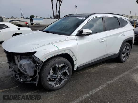2022 Hyundai Tucson SEL Convenience with VIN KM8JFCA14NU039911, listed as a Copart auction lot 85334705 with 87,550 mi miles and Salvage title. Bid and sale history available at DreamBid. Image 1.