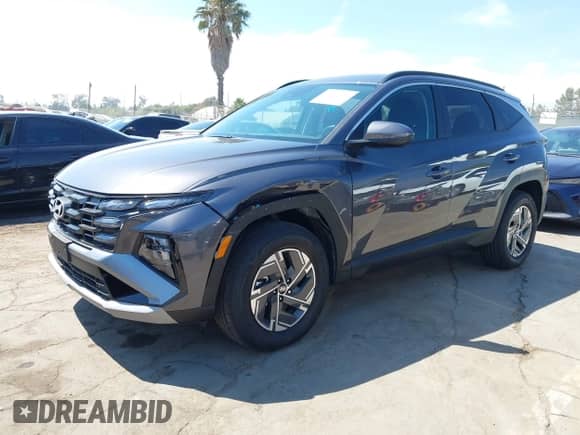 2025 Hyundai Tucson Blue with VIN KM8JBDD17SU346448, listed as a IAAI auction lot 42939235 with 3,124 mi miles and . Bid and sale history available at DreamBid. Image 17.