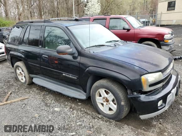 2002 Chevrolet TrailBlazer LS with VIN 1GNDT13S922463670, listed as a Copart auction lot 51736525 with 173,699 mi miles and Salvage title. Bid and sale history available at DreamBid. Image 4.