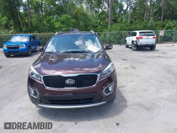 2016 Kia Sorento EX z VIN 5XYPHDA19GG009497, wystawiony jako IAAI lot #42495645 z przebiegiem 138 735 mil mil oraz . Historia ofert i sprzedaży dostępna na DreamBid. Obrazek 12.