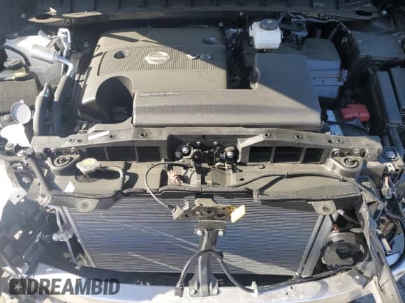 2024 Nissan Murano Platinum with VIN 5N1AZ2DS8RC117897, listed as a Copart auction lot 52198185 with 2,449 mi miles and Clean title. Bid and sale history available at DreamBid. Image 12.