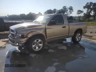 2002 Dodge 1500 z VIN 1D7HA16N22J241845, wystawiony jako Copart lot #80631095 z przebiegiem 374 581 mil mil oraz Szkoda całkowita • Salvage title. Historia ofert i sprzedaży dostępna na DreamBid. Obrazek 1.