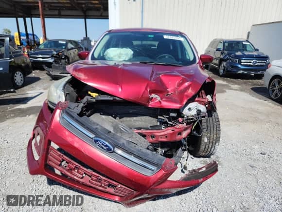 2014 Ford Escape SE with VIN 1FMCU0G93EUB23342, listed as a Copart auction lot 58385495 with 40,410 mi miles and Salvage title. Bid and sale history available at DreamBid. Image 5.