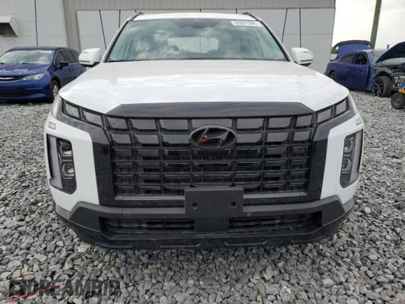 2025 Hyundai Palisade XRT with VIN KM8R3DGE3SU863535, listed as a Copart auction lot 55251395 with 3,165 mi miles and Salvage title. Bid and sale history available at DreamBid. Image 5.