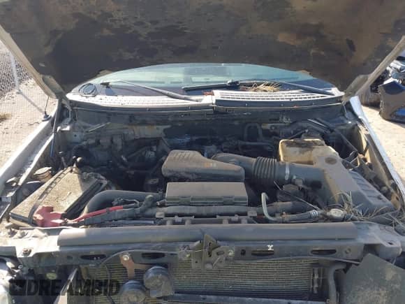 2010 Ford F-150 XL с VIN 1FTMF1EW6AKB71117, выставлен на аукционе IAAI как лот 43291511 с пробегом 102 611 миль миль и . История ставок и продаж доступна на DreamBid. Изображение 10.