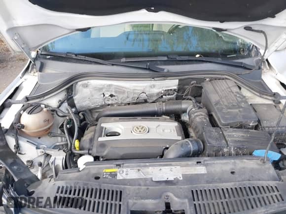 2015 Volkswagen Tiguan S with VIN WVGAV7AX8FW567004, listed as a IAAI auction lot 43396121 with 109,393 mi miles and . Bid and sale history available at DreamBid. Image 10.