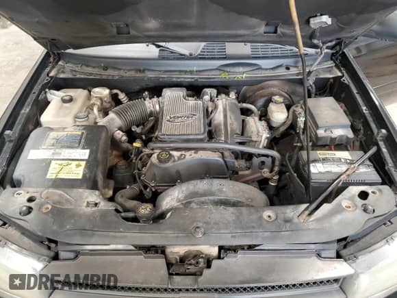 2002 Chevrolet TrailBlazer LS with VIN 1GNDT13S222266789, listed as a Copart auction lot 58767475 with 207,172 mi miles and Non repairable. Bid and sale history available at DreamBid. Image 12.