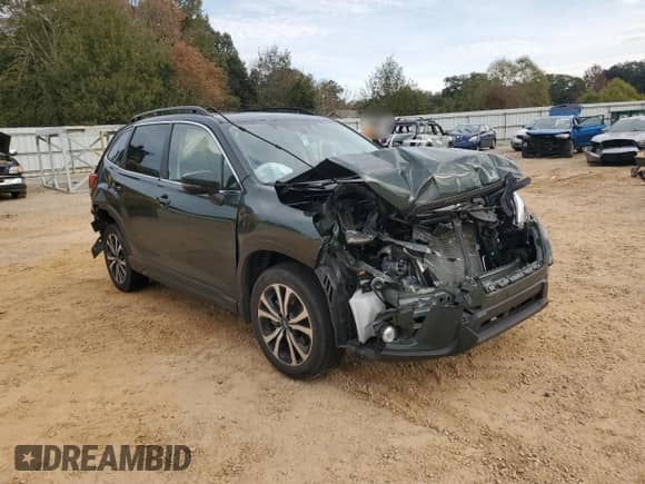 2024 Subaru Forester Limited with VIN JF2SKALC0RH412773, listed as a Copart auction lot 84093774 with 19,736 mi miles and Salvage title. Bid and sale history available at DreamBid. Image 4.