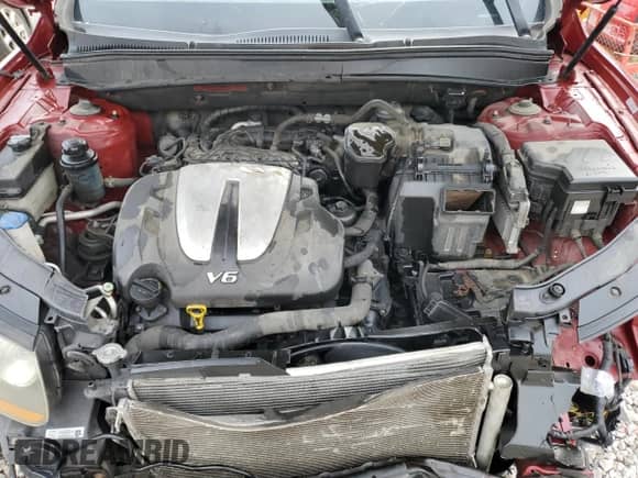 2011 Hyundai Santa Fe GLS с VIN 5XYZG4AGXBG019075, выставлен на аукционе Copart как лот 55133455 с пробегом Не указан миль и Списание • Salvage title. История ставок и продаж доступна на DreamBid. Изображение 12.