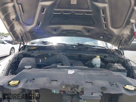 2010 Dodge 1500 SLT with VIN 1D7RB1CT7AS238338, listed as a IAAI auction lot 42031230 with 111,825 mi miles and . Bid and sale history available at DreamBid. Image 10.