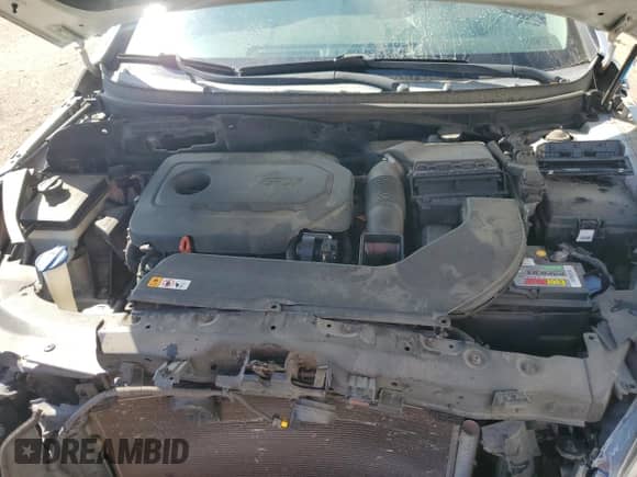 2016 Hyundai Sonata SE with VIN 5NPE24AF9GH295493, listed as a Copart auction lot 80614775 with 285,511 mi miles and Salvage title. Bid and sale history available at DreamBid. Image 11.