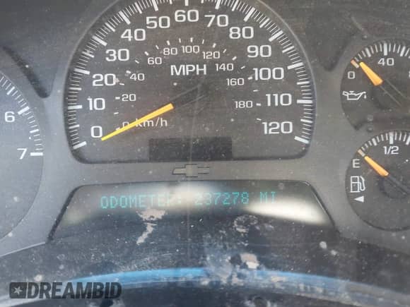 2002 Chevrolet TrailBlazer LS with VIN 1GNDS13S922447603, listed as a IAAI auction lot 42844550 with 237,278 mi miles and . Bid and sale history available at DreamBid. Image 7.